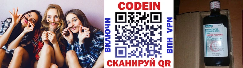 Купить закладки  Нестеров  Кодеиновый сироп Lean напиток Lean (лин) 