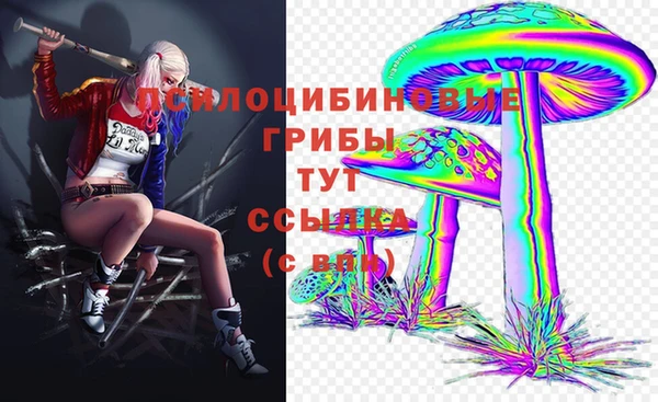 прущие крисы Горняк