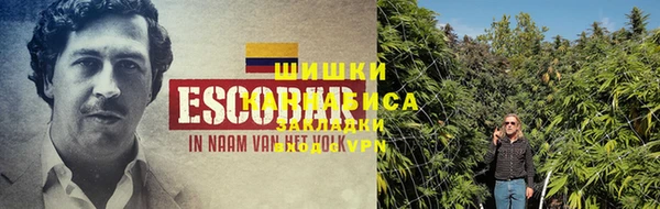 прущие крисы Горняк