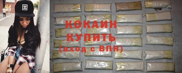 прущие крисы Горняк